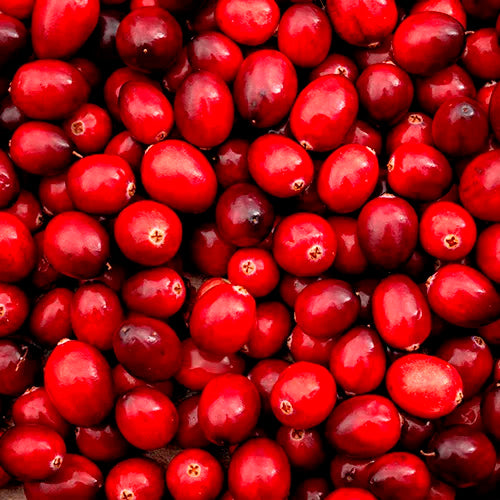 CRANBERRY