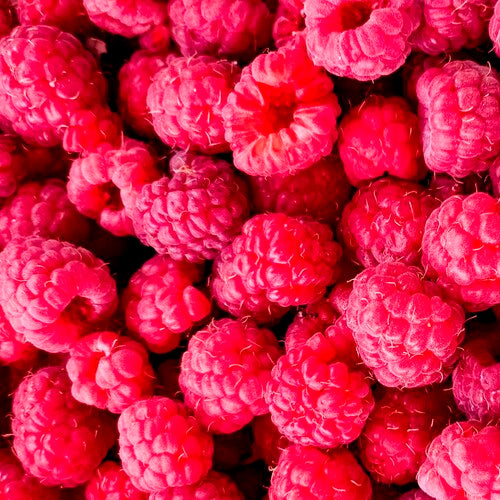 RASPBERRY