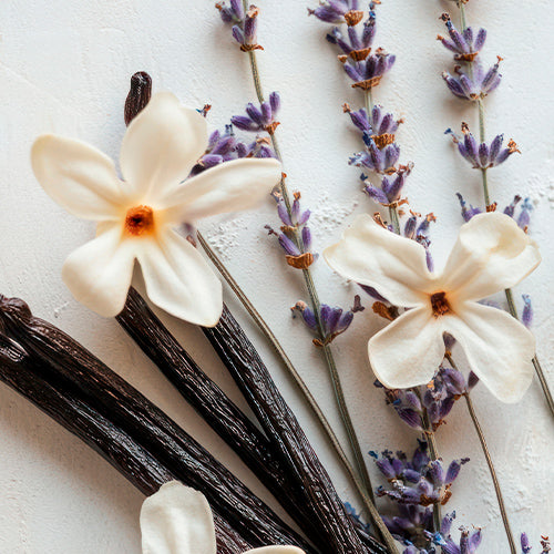 LAVENDER DANCE CANDLE